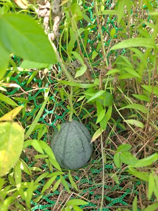 강원사랑인님의 자유주제 · 자유게시판 작성글 사진