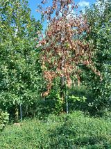 팜모닝 농사, 무엇이든 물어보세요!·참여글 게시글 이미지