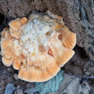 권오택님의 자유주제 · 자유게시판 작성글 사진