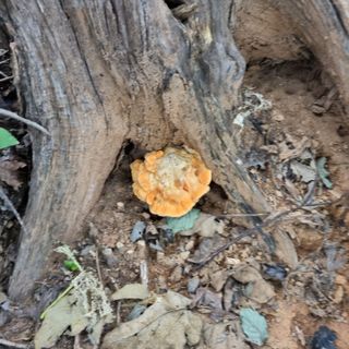 권오택님의 자유주제 · 자유게시판 작성글 사진