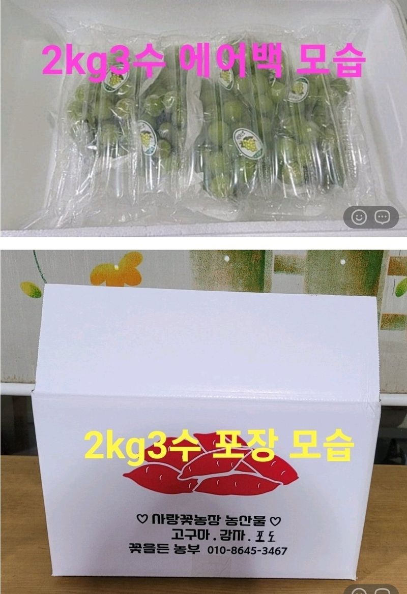 사랑꽃농장님의 장터 판매 상품 [상품)샤인머스켓 2kg3수] 첨부 사진