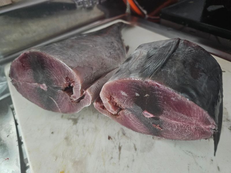 김진국님의 장터 판매 상품 [참치(참다랑어 1마리, 블루핀투나, Bluepin Tuna)1.5kg] 첨부 사진
