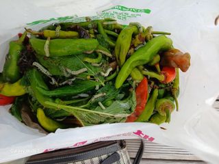 바위돌 심재성님의 콩 · 병해충상담 작성글 사진