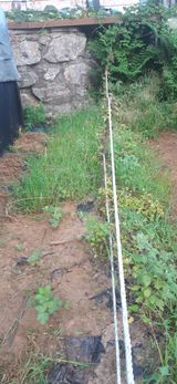 팜모닝 자유주제·자유게시판 게시글 이미지