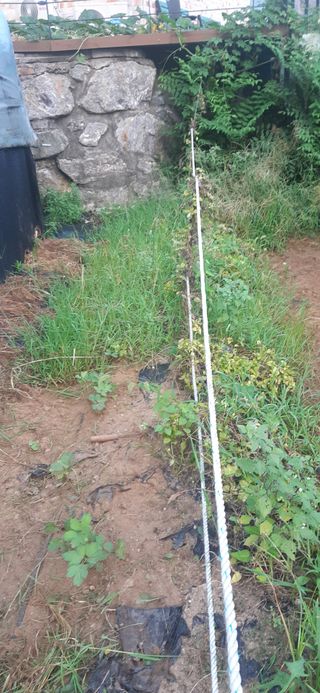 양승숙 (承光)님의 자유주제 · 자유게시판 작성글 사진