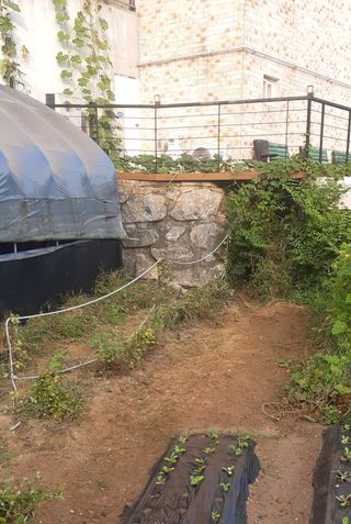 양승숙 (承光)님의 자유주제 · 자유게시판 작성글 사진