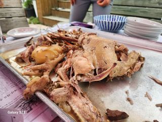 우양수님의 자유주제 · 자유게시판 작성글 사진