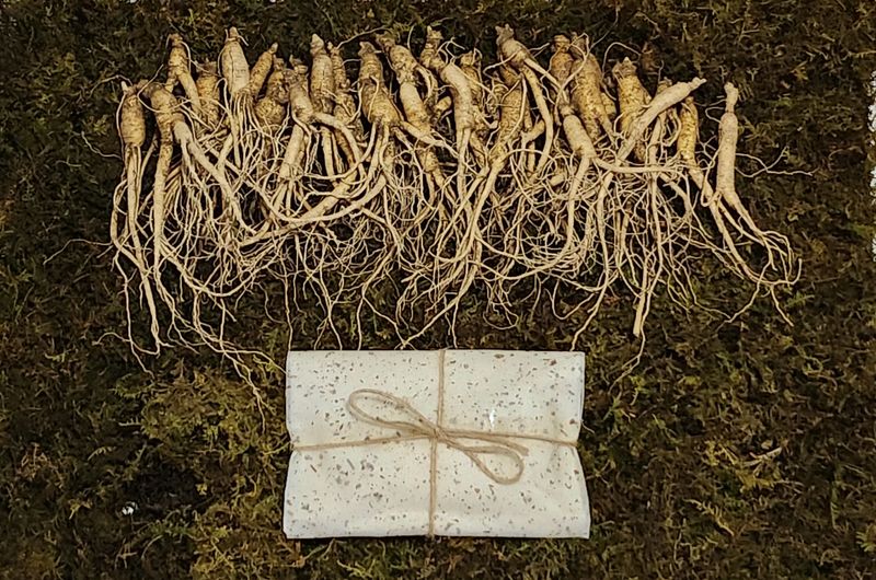 진상빈님의 장터 판매 상품 [[추석선물추천] 6-10년근 산양삼 선물세트/추가증정이벤트 + 산양삼 꿀, 즙 추가증정] 첨부 사진