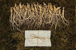 진상빈님의 작성글 사진