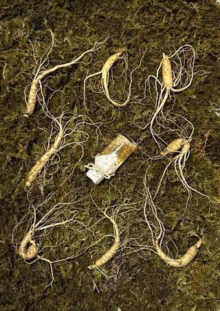 진상빈님의 작성글 사진