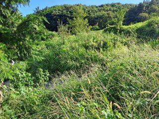 (힐링따오기쉼터)님의 기타작물 · 영농일지 작성글 사진