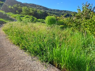 (힐링따오기쉼터)님의 기타작물 · 영농일지 작성글 사진