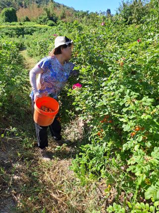 (힐링따오기쉼터)님의 기타작물 · 영농일지 작성글 사진