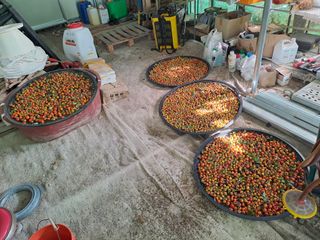 (힐링따오기쉼터)님의 기타작물 · 영농일지 작성글 사진