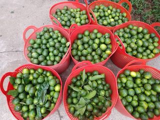 이명희님의 나의 농사 애장품을 자랑해요 · 참여글 작성글 사진