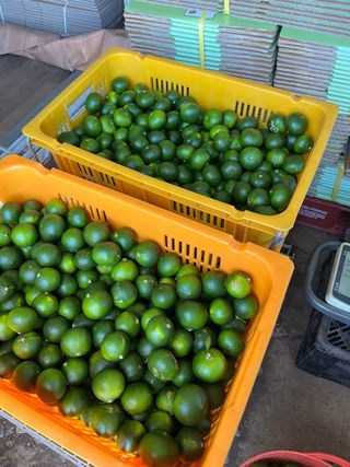 이명희님의 나의 농사 애장품을 자랑해요 · 참여글 작성글 사진