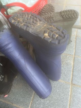 이명희님의 나의 농사 애장품을 자랑해요 · 참여글 작성글 사진