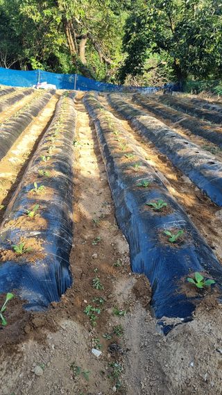 오주연님의 자유주제 · 자유게시판 작성글 사진