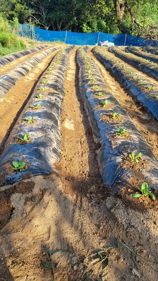 오주연님의 자유주제 · 자유게시판 작성글 사진
