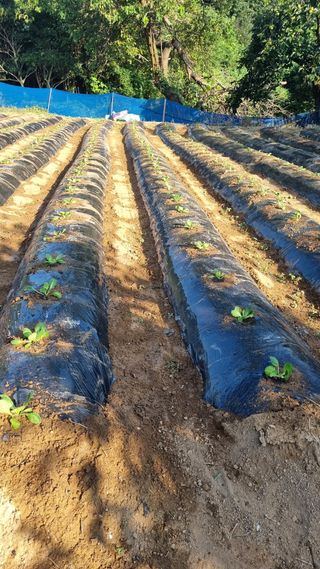 오주연님의 자유주제 · 자유게시판 작성글 사진