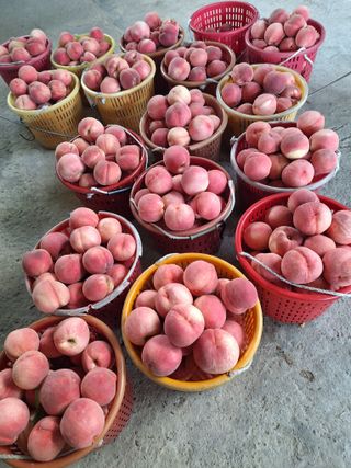 욕심내지말자님의 자유주제 · 자유게시판 작성글 사진