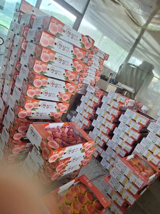 욕심내지말자님의 자유주제 · 자유게시판 작성글 사진