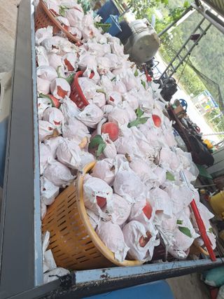 욕심내지말자님의 자유주제 · 자유게시판 작성글 사진