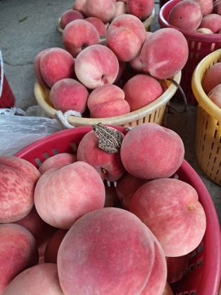 욕심내지말자님의 자유주제 · 자유게시판 작성글 사진