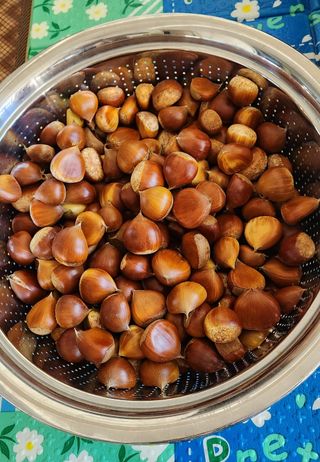 접시꽃님의 자유주제 · 자유게시판 작성글 사진