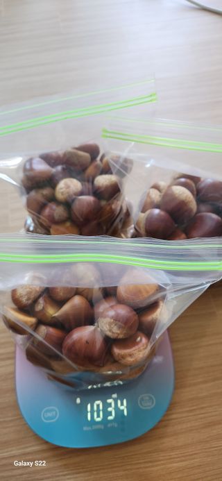 접시꽃님의 자유주제 · 자유게시판 작성글 사진