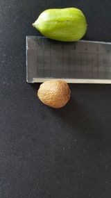 팜모닝 나의 농사 애장품을 자랑해요·참여글 게시글 이미지