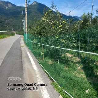 최동구님의 사과 · 자연재해•동물피해 작성글 사진