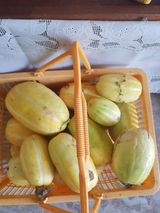 팜모닝 자유주제·자유게시판 게시글 이미지