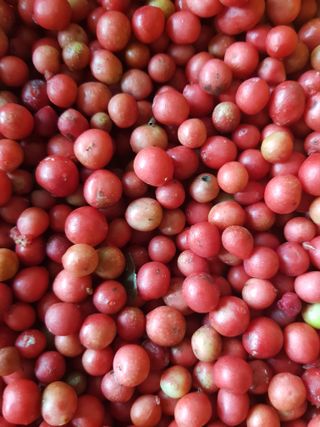 김건호님의 자유주제 · 자유게시판 작성글 사진