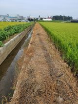 팜모닝 팜모닝·출석 게시글 이미지