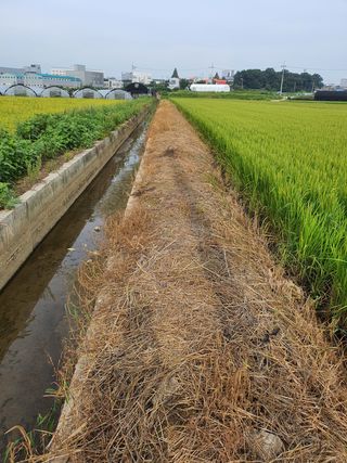 승두 병아리님의 팜모닝 · 출석 작성글 사진
