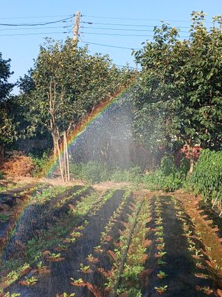 신현국 님의 자유주제 · 자유게시판 작성글 사진
