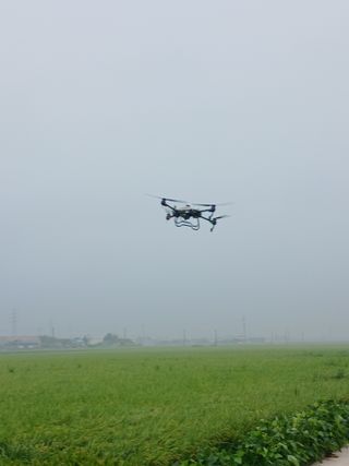 신현국 님의 자유주제 · 자유게시판 작성글 사진