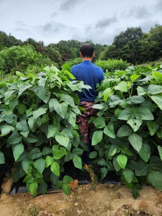 아스파라거스님의 자유주제 · 자유게시판 작성글 사진