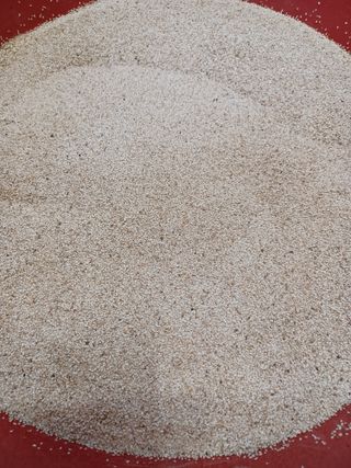 호박18496님의 농사, 무엇이든 물어보세요! · 참여글 작성글 사진