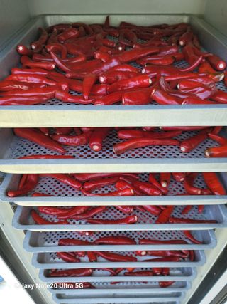 김용민님의 자유주제 · 자유게시판 작성글 사진