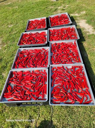 김용민님의 자유주제 · 자유게시판 작성글 사진