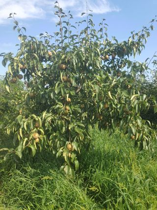 김광호님의 자유주제 · 자유게시판 작성글 사진