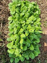 팜모닝 자유주제·자유게시판 게시글 이미지