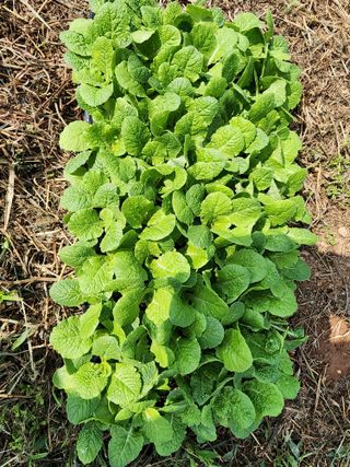 이선구님의 자유주제 · 자유게시판 작성글 사진