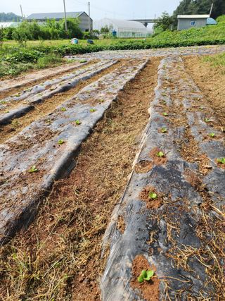 이선구님의 자유주제 · 자유게시판 작성글 사진