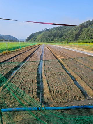 이응태님의 파 · 영농일지 작성글 사진