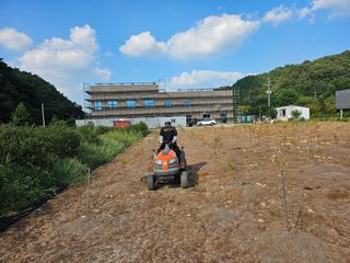 (주)연리지윤태금님의 블루베리 · 영농일지 작성글 사진