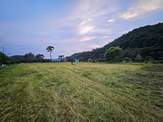 (주)연리지윤태금님의 블루베리 · 영농일지 작성글 사진