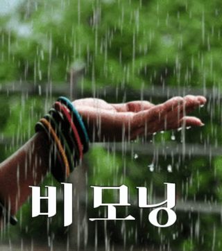 매실6483만물박사님의 자유주제 · 자유게시판 작성글 사진